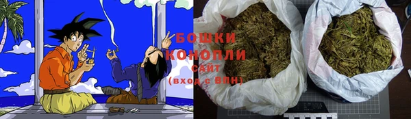 бошки Аркадак