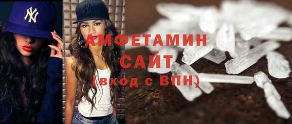 молекула духа Арсеньев