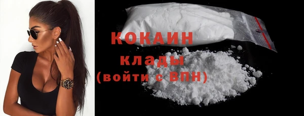 молекула духа Арсеньев