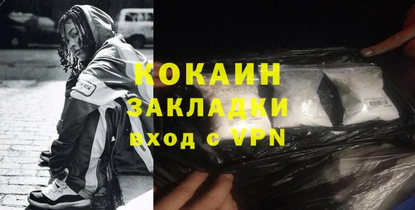 молекула духа Арсеньев
