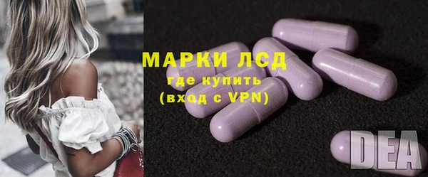 молекула духа Арсеньев